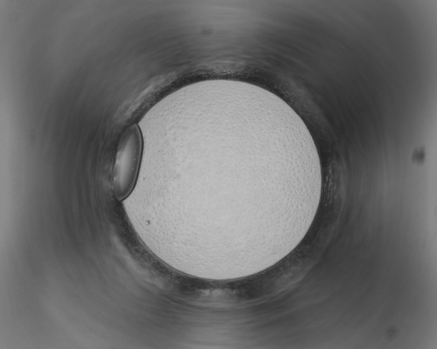 X0000116110212200912211639
