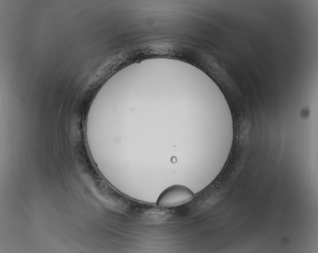 X0000116110213200912211639