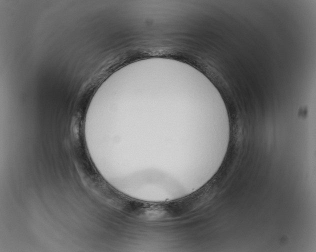 X0000116110214200912211639