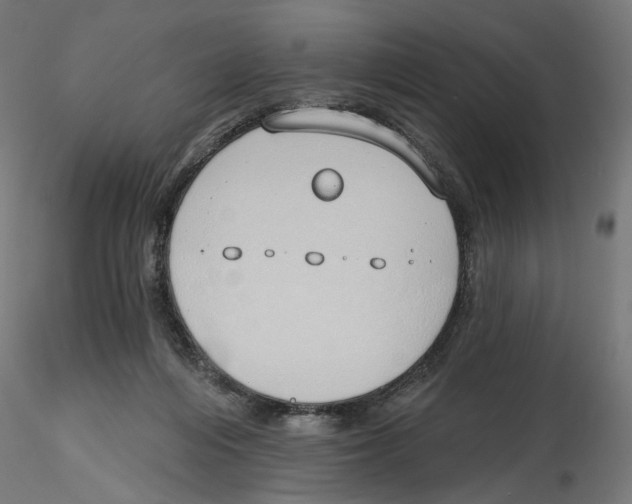X0000116110216200912211639