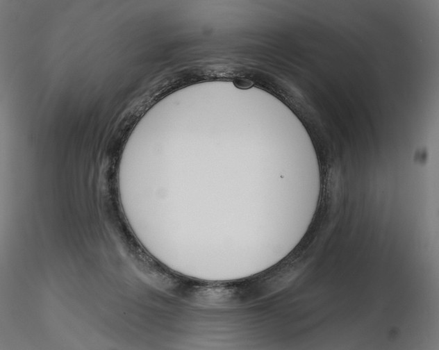 X0000116110217200912211639