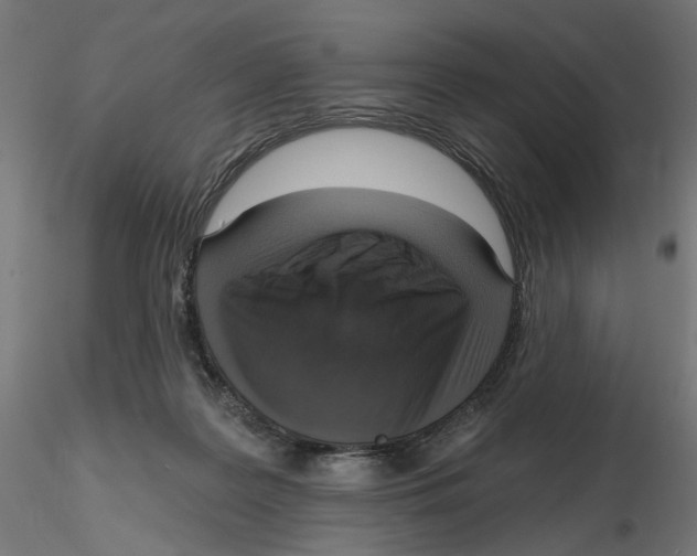 X0000116110219200912211639