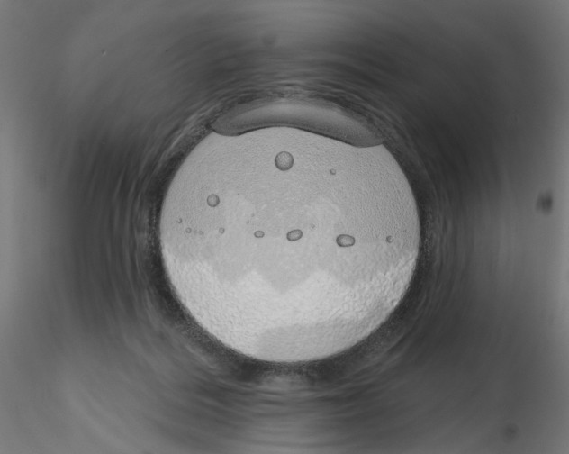 X0000116110220200912211639