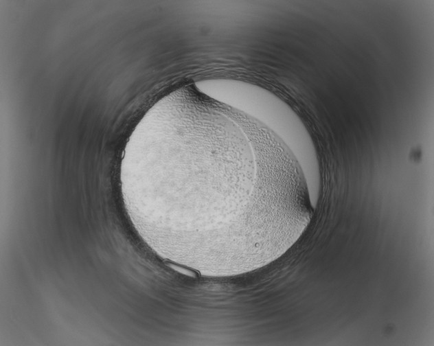 X0000116110221200912211639