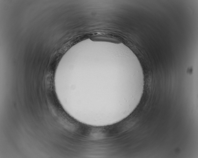 X0000116110222200912211639