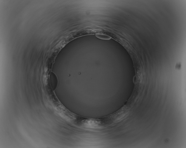 X0000116110223200912211639