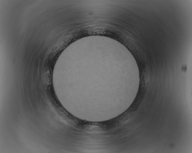 X0000116110224200912211639