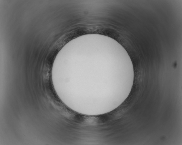X0000116110226200912211639