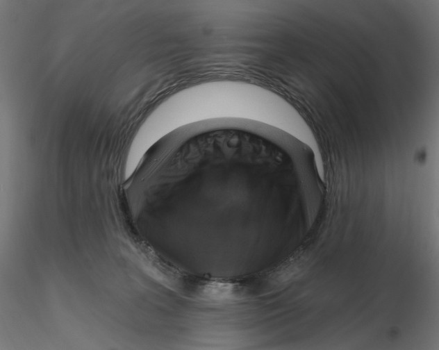 X0000116110227200912211639