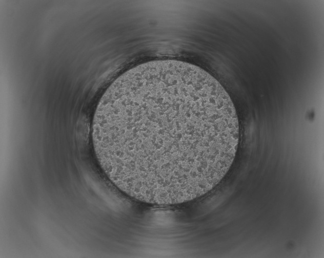 X0000116110228200912211639