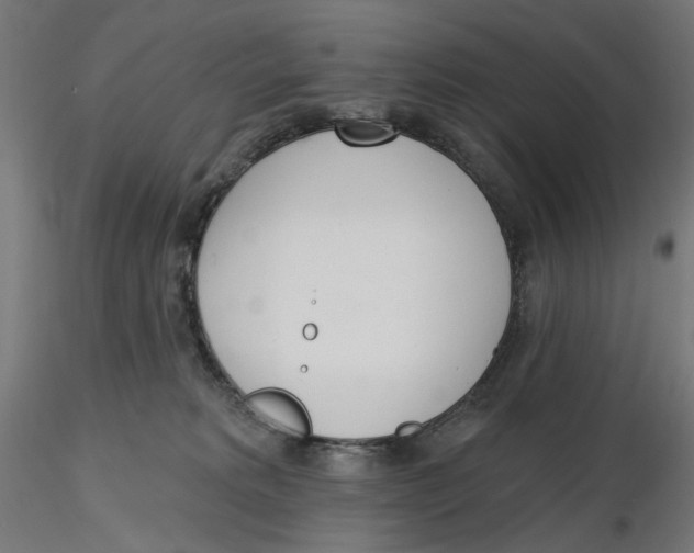 X0000116110229200912211639