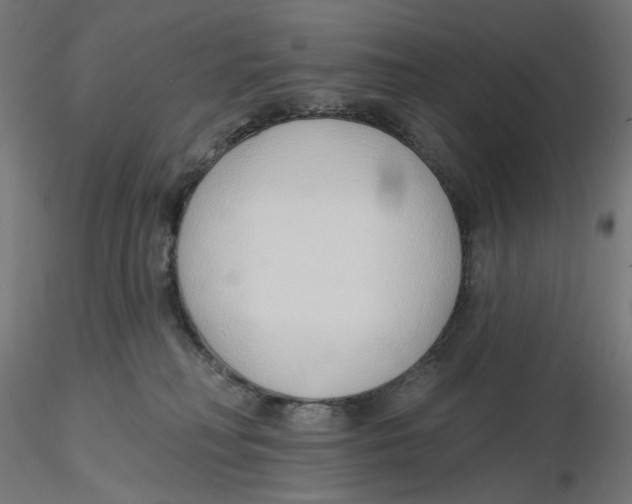 X0000116110230200912211639