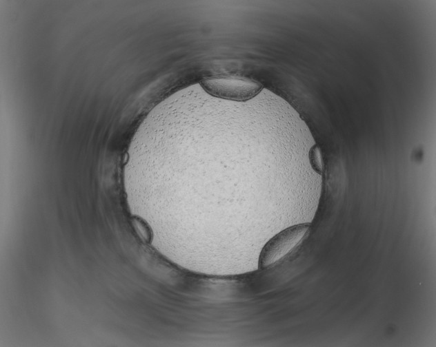 X0000116110233200912211639