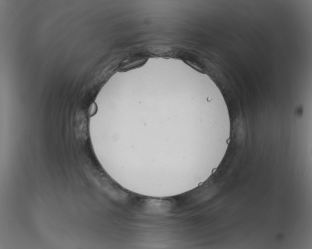 X0000116110234200912211639