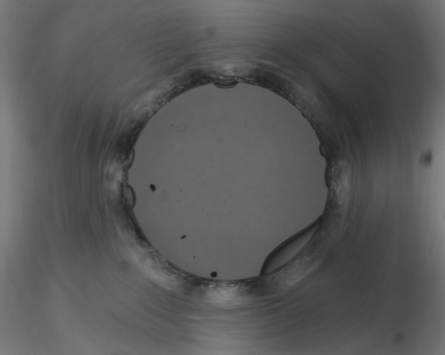 X0000116110235200912211639