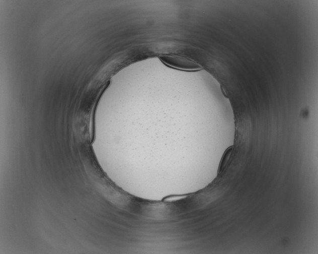 X0000116110237200912211639