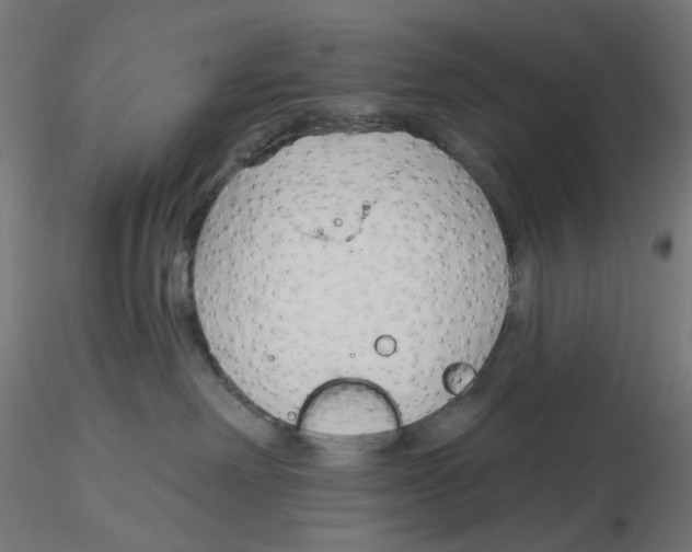 X0000116110238200912211639
