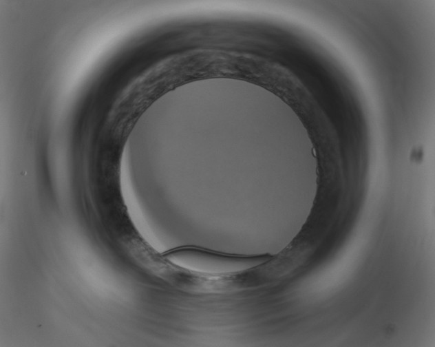 X0000116110239200912211639
