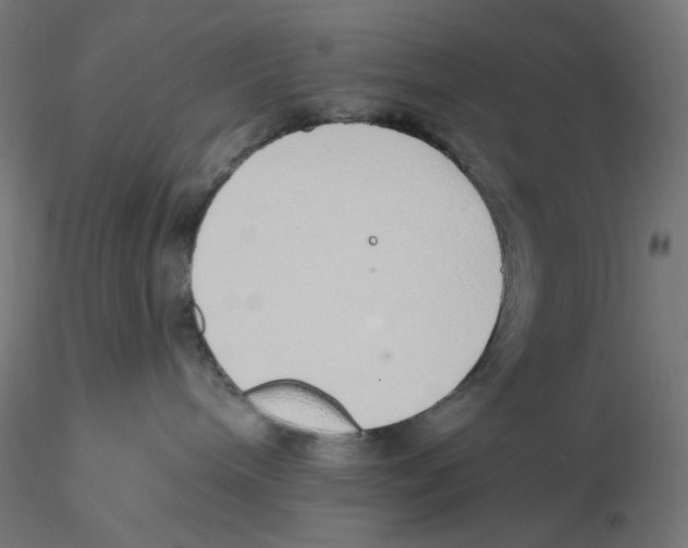 X0000116110240200912211639