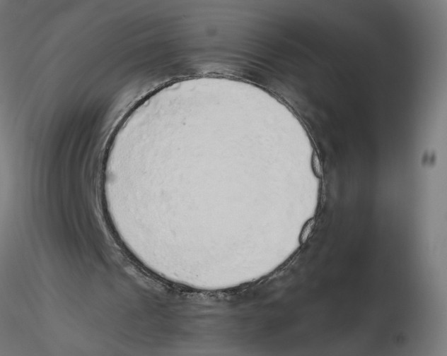X0000116110241200912211638