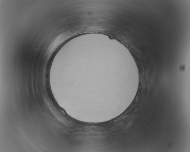X0000116110242200912211638
