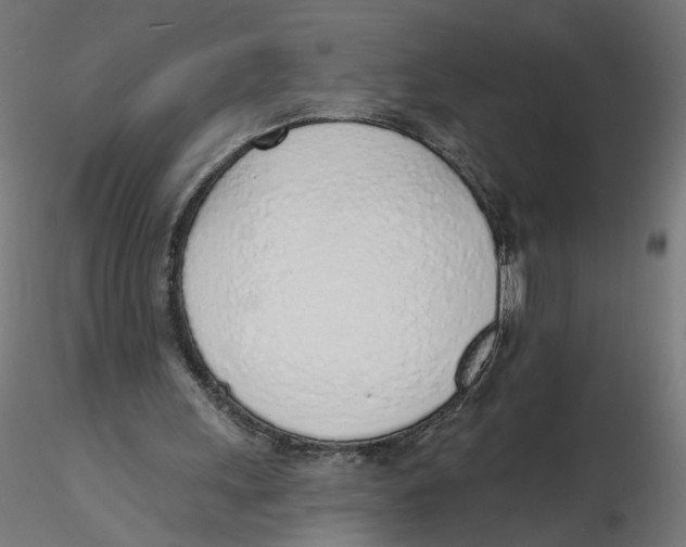 X0000116110243200912211638