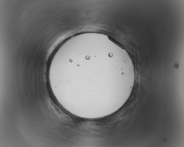 X0000116110244200912211638