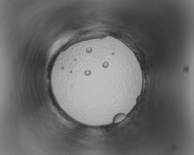 X0000116110245200912211638