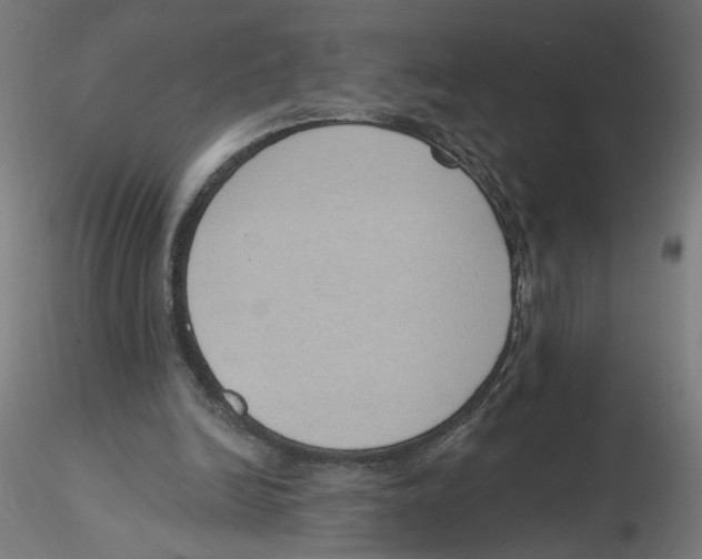 X0000116110246200912211638