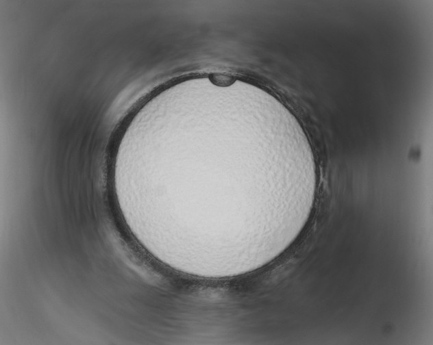 X0000116110247200912211638