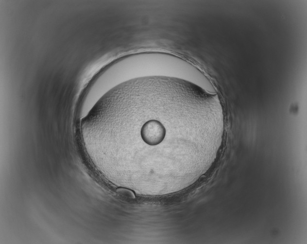 X0000116110248200912211638