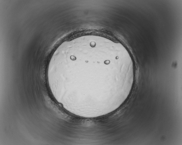 X0000116110249200912211638