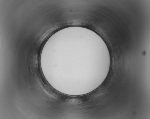 X0000116110251200912211638