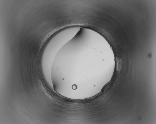 X0000116110252200912211638