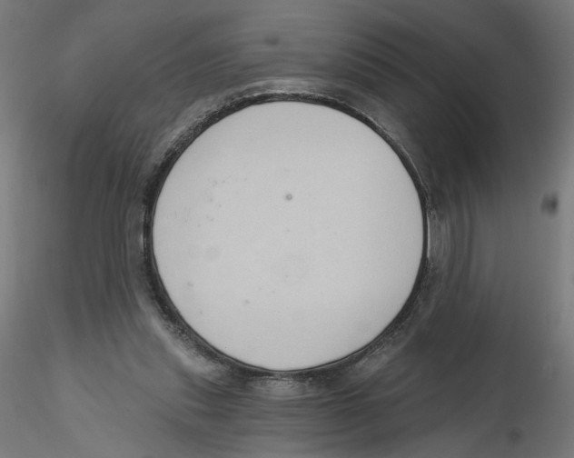X0000116110253200912211638