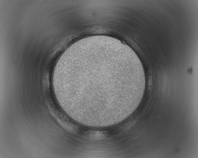 X0000116110254200912211638