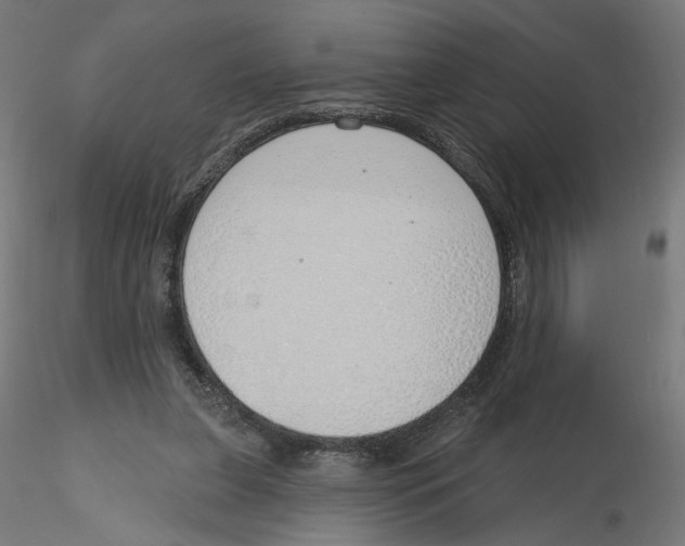 X0000116110255200912211638