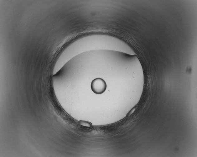 X0000116110256200912211639