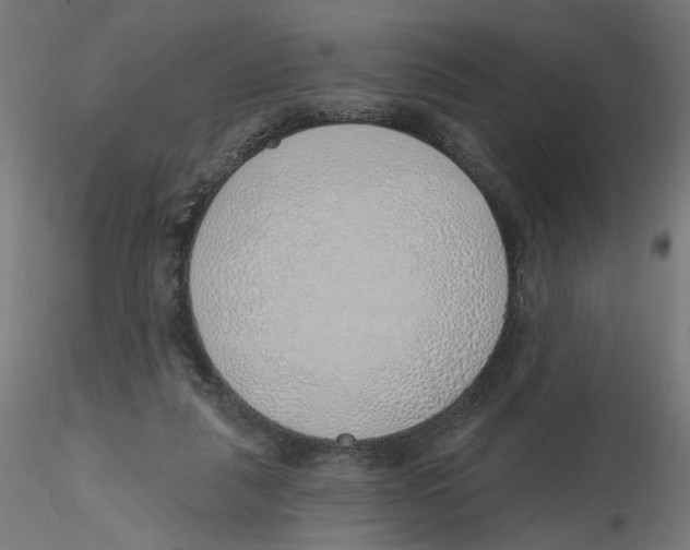 X0000116110259200912211639