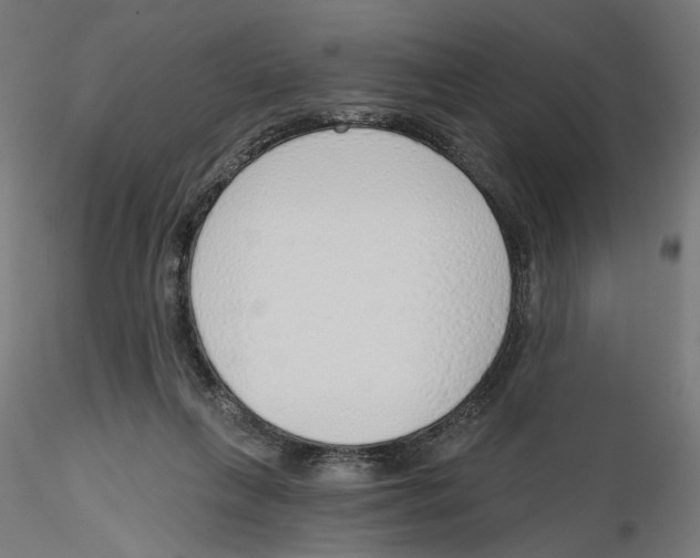 X0000116110263200912211639