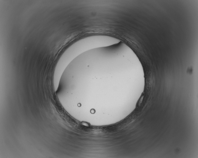 X0000116110264200912211639
