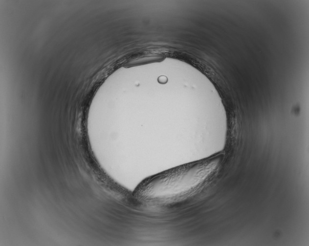 X0000116110267200912211639