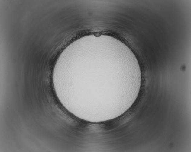 X0000116110269200912211639