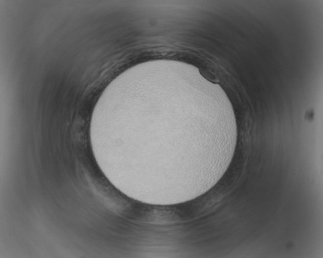 X0000116110270200912211639