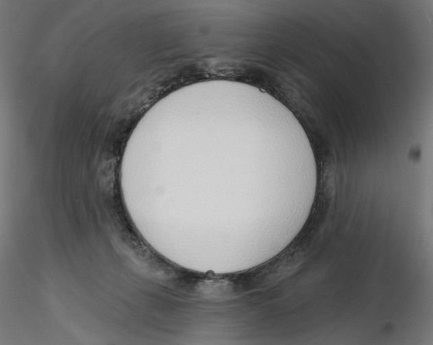 X0000116110271200912211639