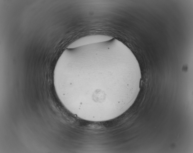 X0000116110272200912211639