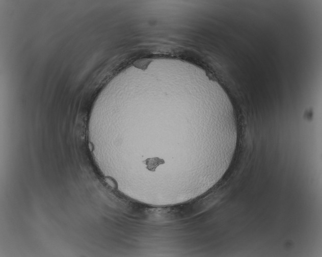 X0000116110273200912211639