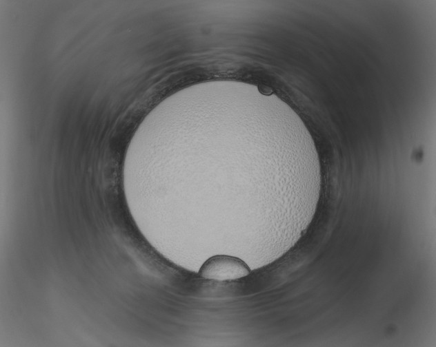 X0000116110274200912211639