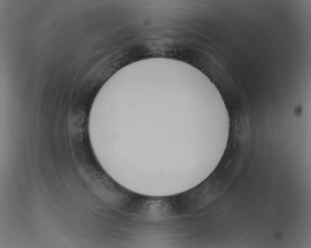 X0000116110275200912211639