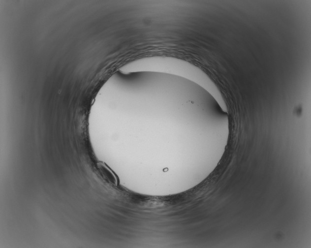 X0000116110276200912211639